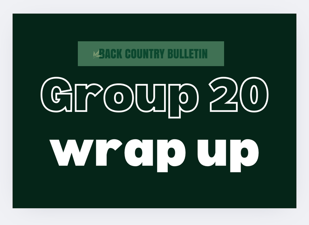 Round 17 Group 20 wrap up - Hay to host final