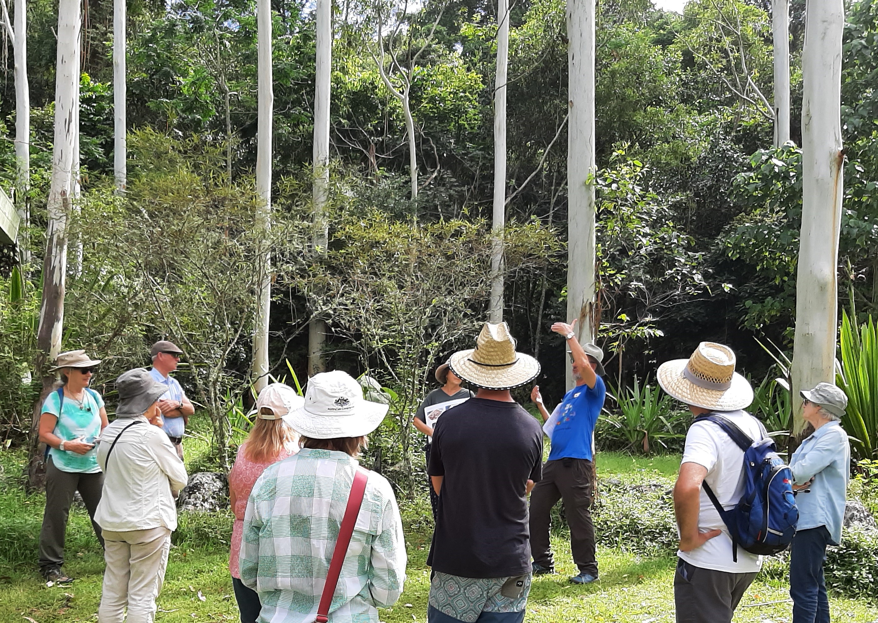 Lismore Rainforest Botanic Garden Native Bees as Pollinators Guided Walk