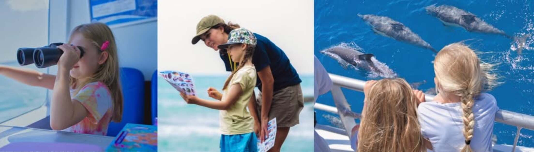 Young Ocean Explorers Hauraki Gulf Discovery Cruise