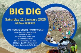 The Lions Big Dig