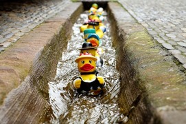 The Great Naseby Duck Race