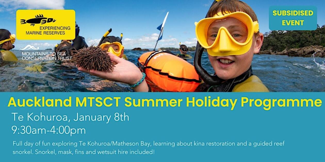 FREE snorkel day at Tāwharanui Regional Park with Mountains to Sea Conservation Trust