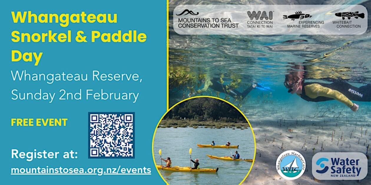 Whangateau Harbour Community Snorkel & Paddle Day
