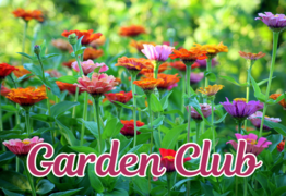 Kiama Garden Club Inc. - fourth Friday each month