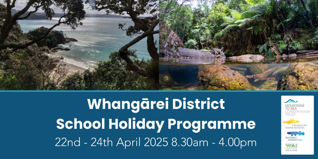 Mountains to Sea 3 Day School Holiday Programme Whangārei District, April 2025