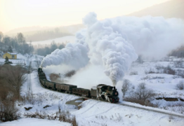 Chasing the Iron Dragon - Learned Lecture & Teatime Special on Sunday Apr 13th
