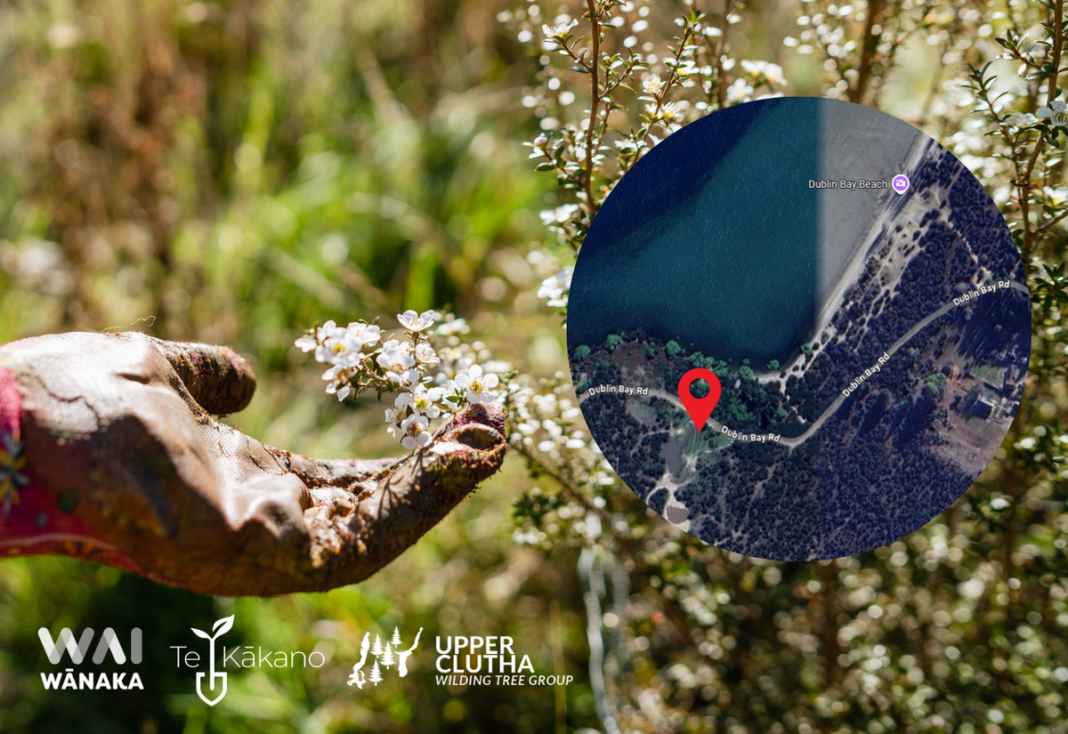 Working Bee with Dublin Bay Restoration Group