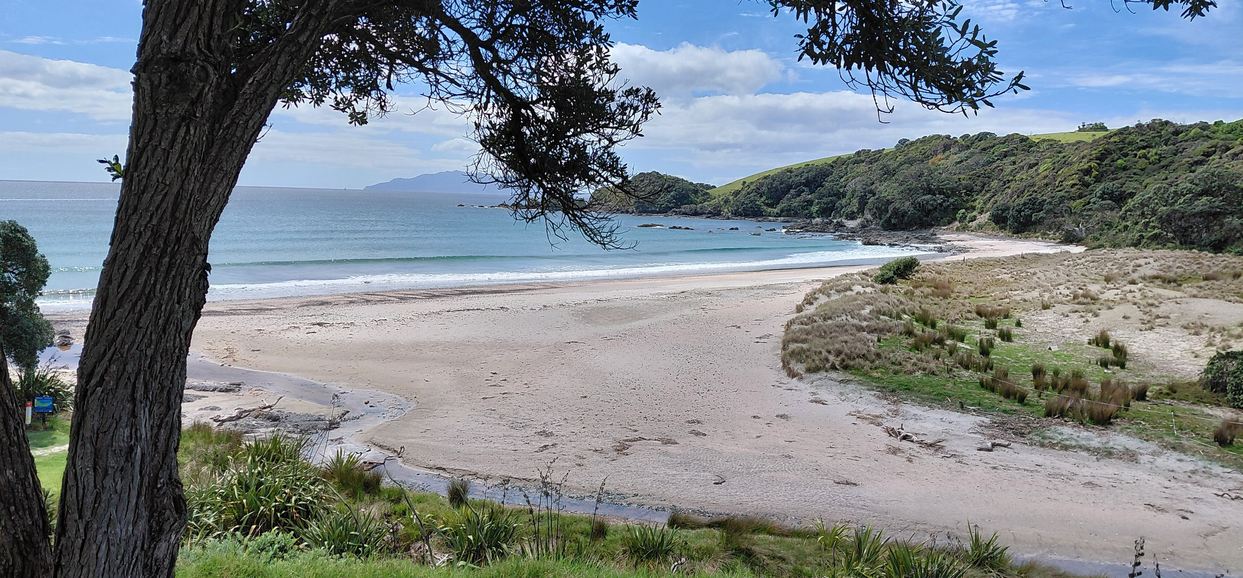Mahurangi Coastal Cleanup @ Mahurangi Waste Busters