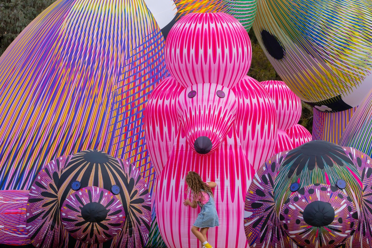 Lost Dog's Disco, Aotea Square