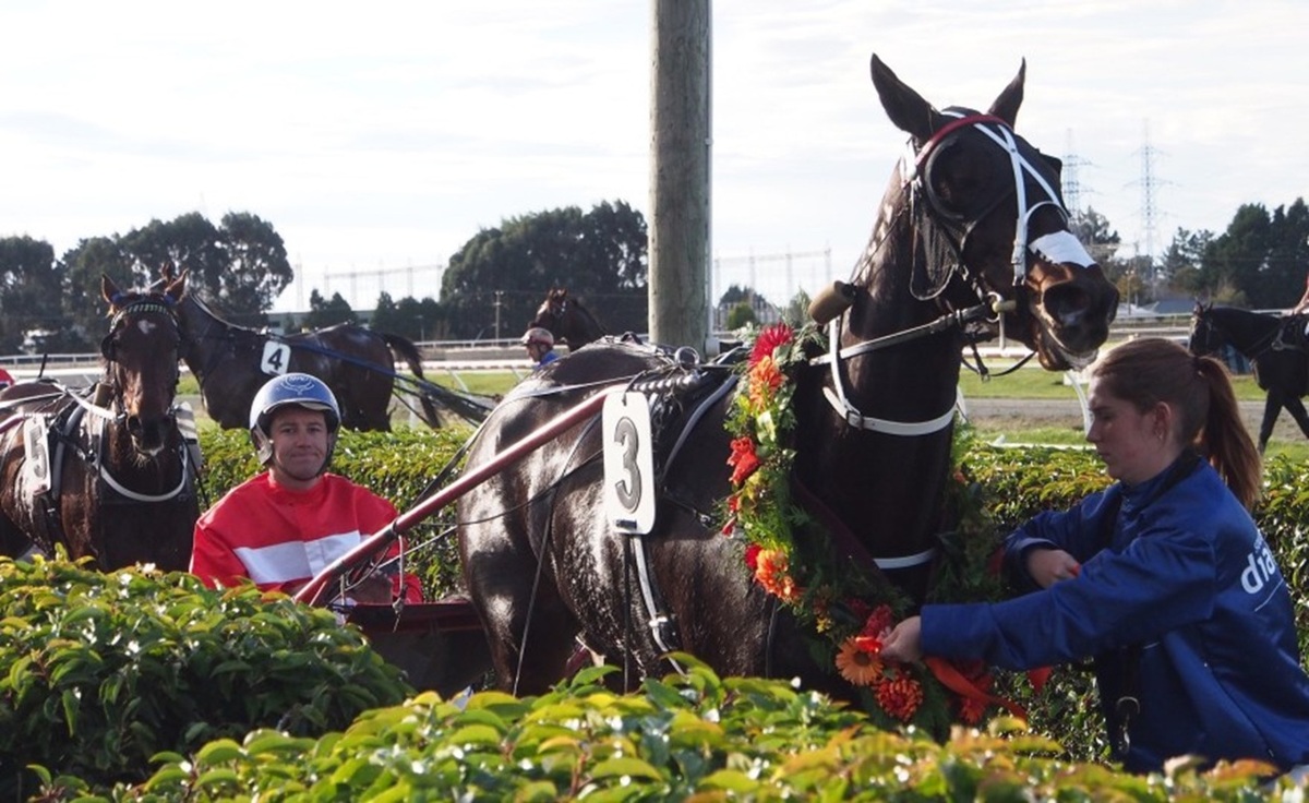 Diamonds Day - Southern Racing