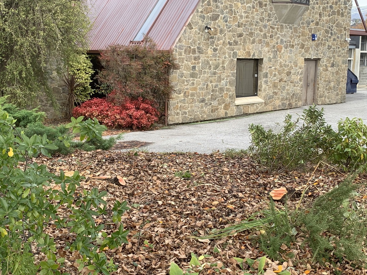 Keep Alexandra Clyde Beautiful. The Alexandra Garden 