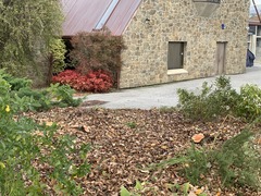 Keep Alexandra Clyde Beautiful. The Alexandra Garden 