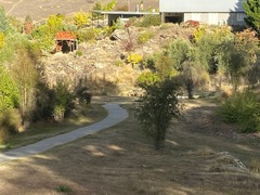 Keep Alexandra Clyde Beautiful. Lookout Reserve