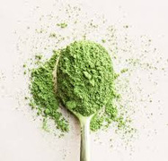 Matcha Tea Workshops