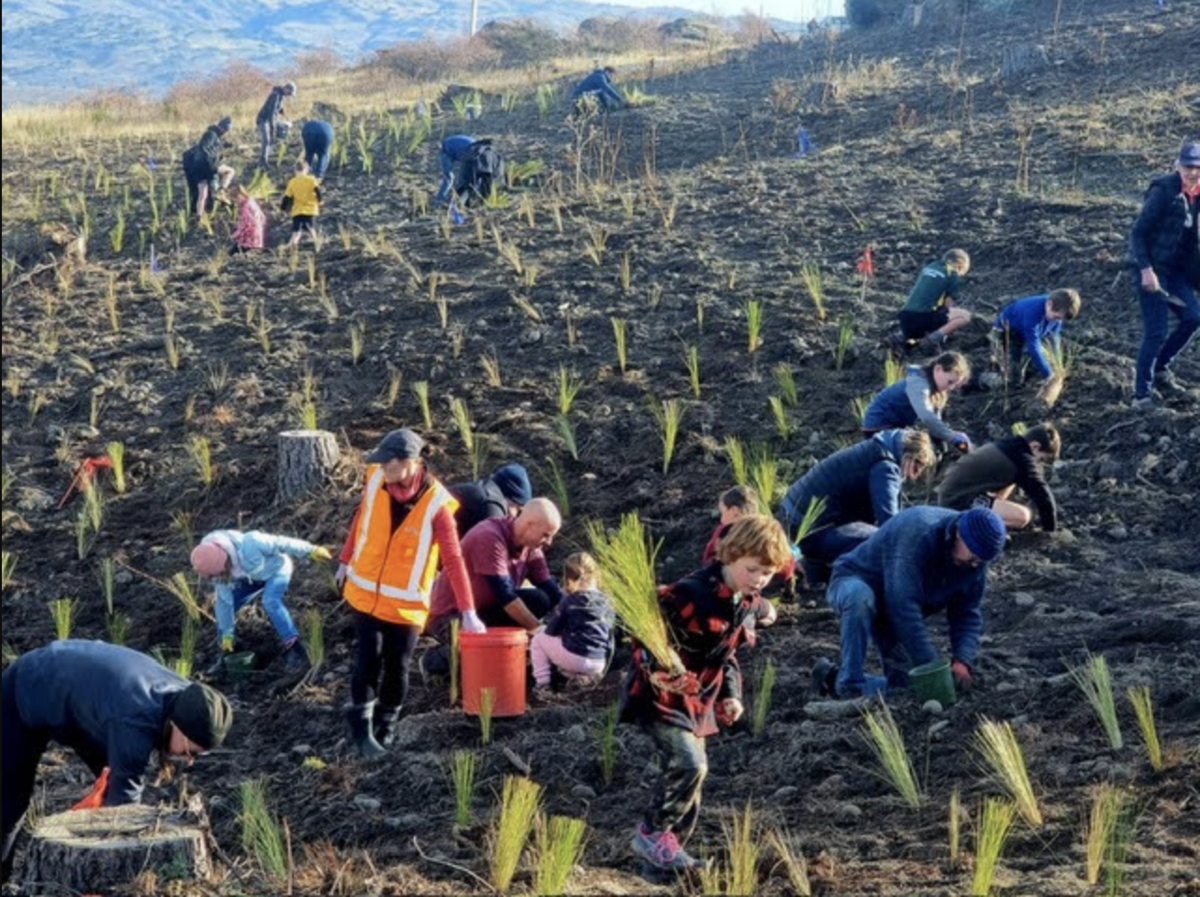 Half Mile Reserve Planting Day. Haehaeata Natural Heritage Trust