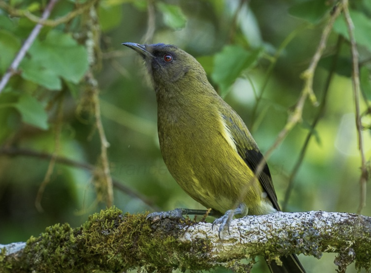 DIY Funeral Workshop