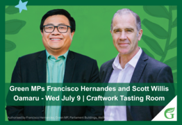 Politics at the Pub - with Green MPs