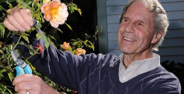 Preserving our history - one rose at a time