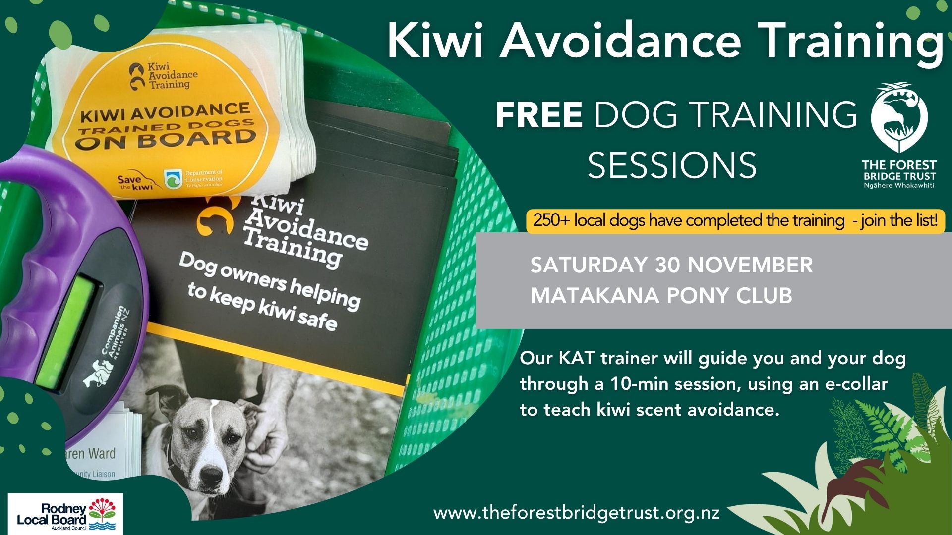 Free Kiwi Avoidance Training for local Dogs at Matakana Pony Club