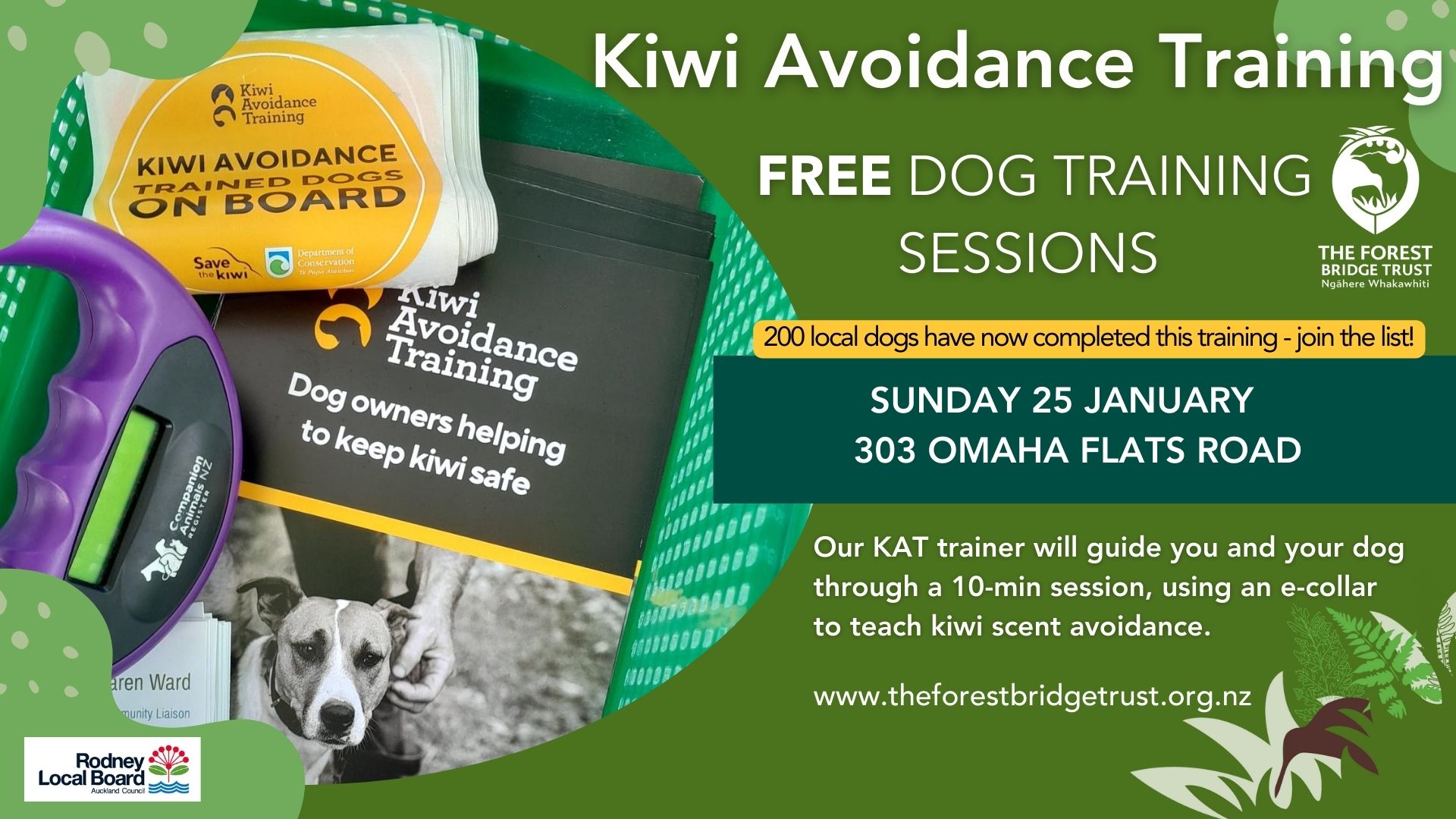 Free Kiwi Avoidance Training for Local Dogs This January