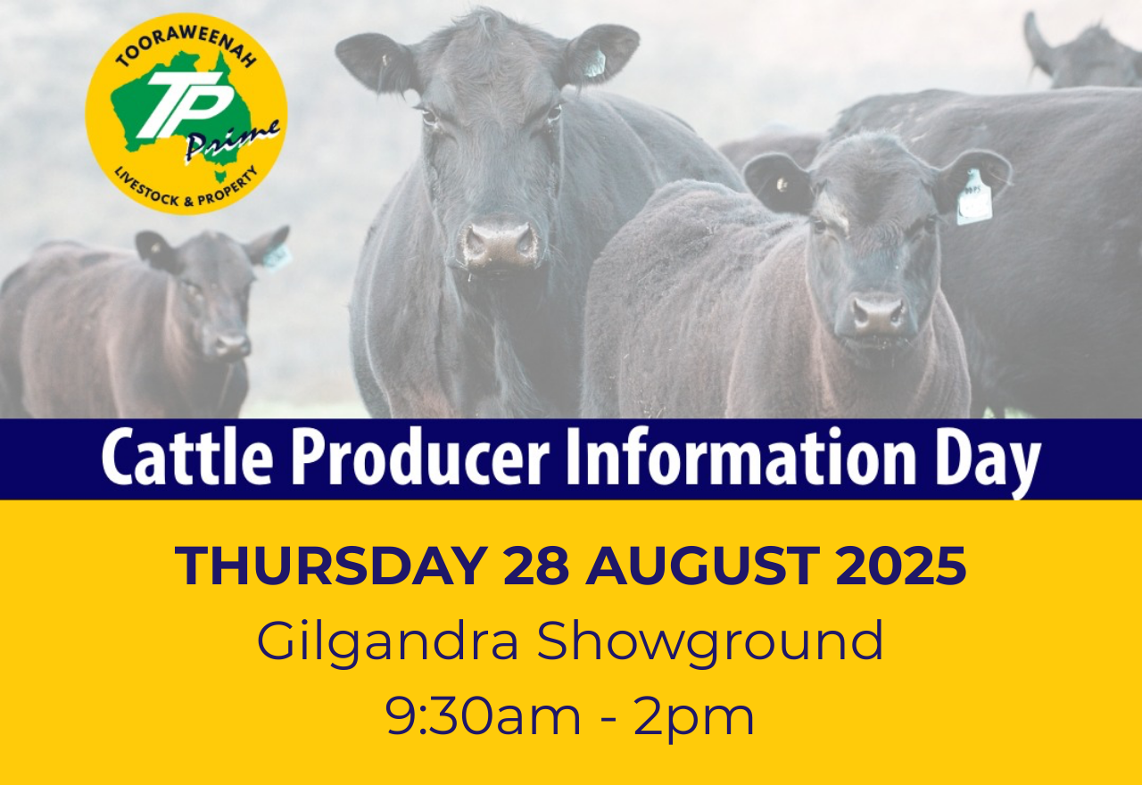 Tooraweenah Prime - Cattle Producer Information Day