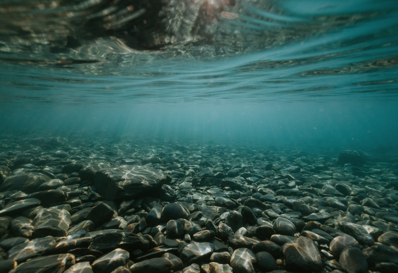 Alpine Lakes Forum 2025: Deep Lakes, Deeper Knowledge 