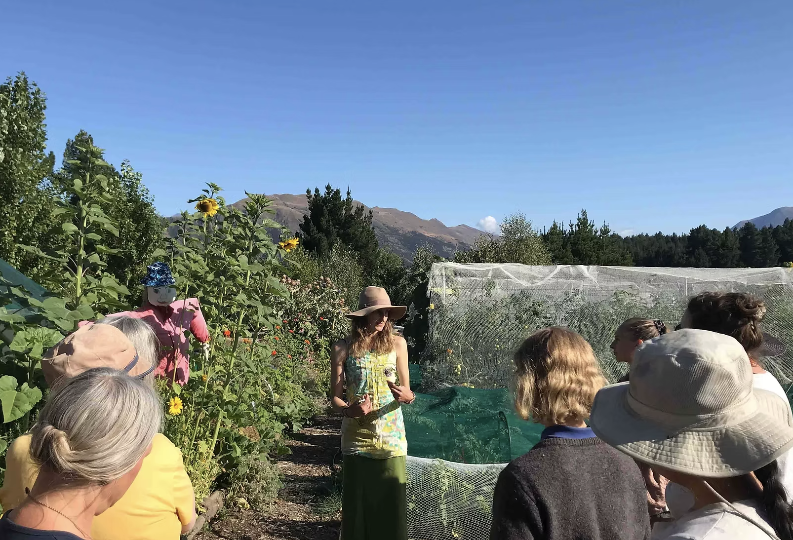 Edible Weeds & Harvesting Workshop