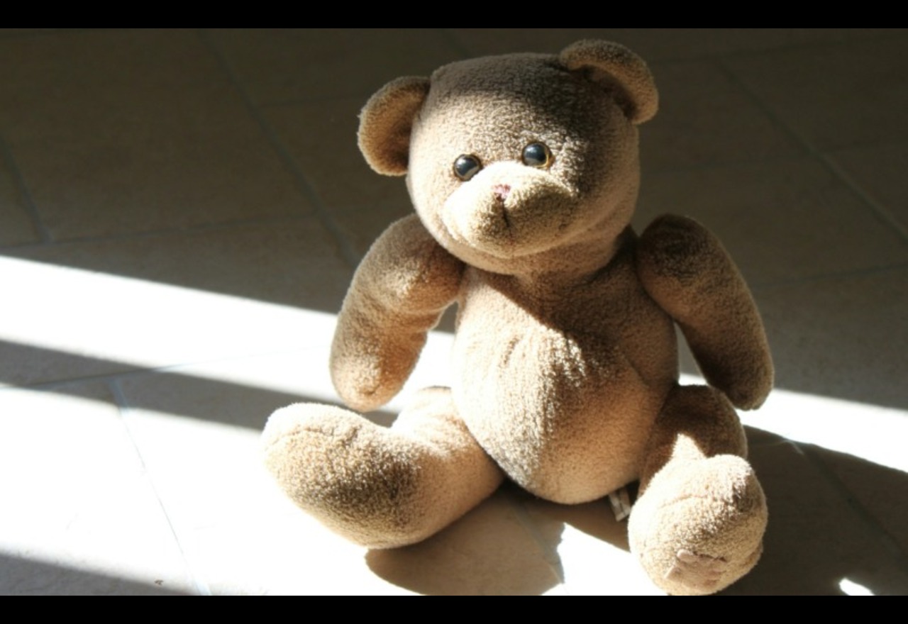 The Great Teddy Bear Sleepover - Alexandra & Cromwell