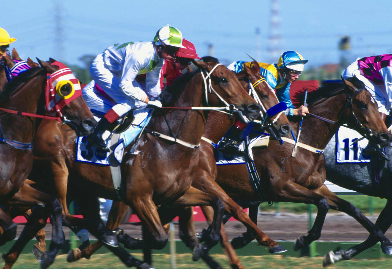 Melbourne Cup - Hāwea