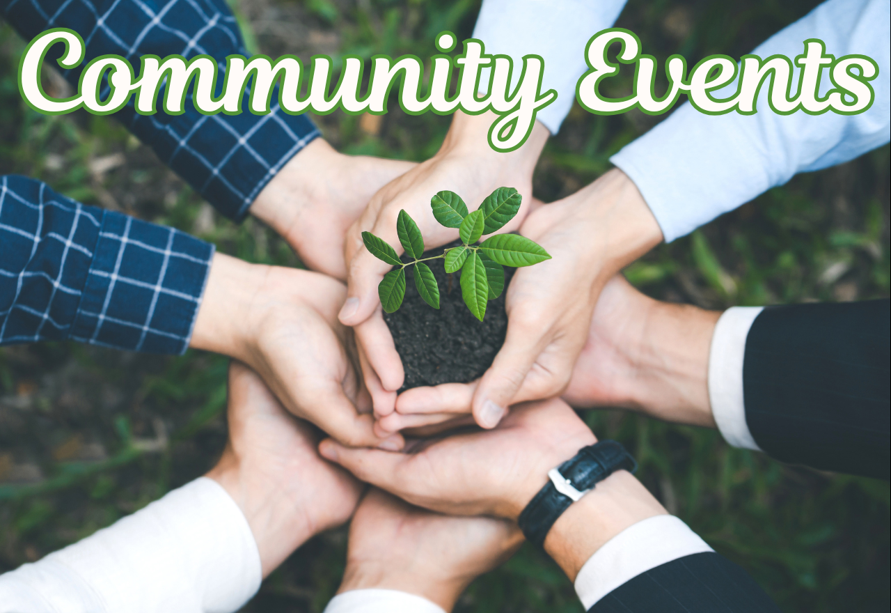 ELEVEN EIGHTY WEDDING OPEN DAY