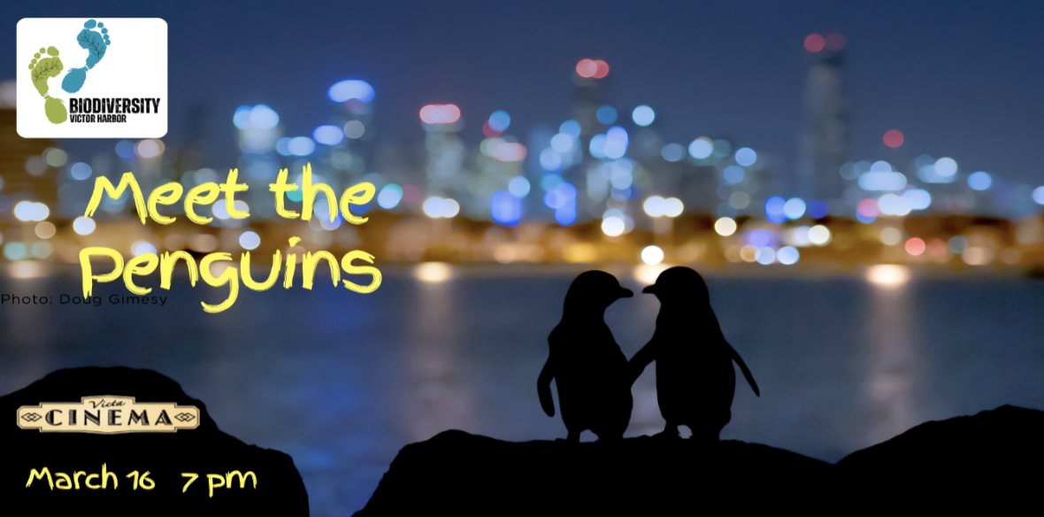 Meet the Penguins — on the Big Screen
