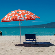 Auckland Council Summer Opening Hours