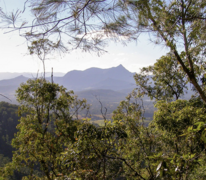 Gidjuum Gulganyi Walk