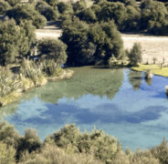 Butterfields Wetland Walk