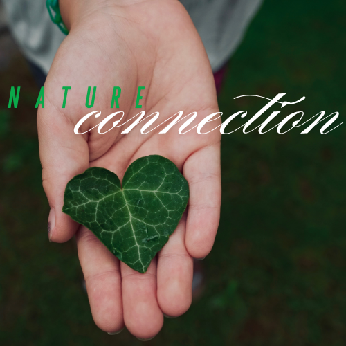 Connection with nature