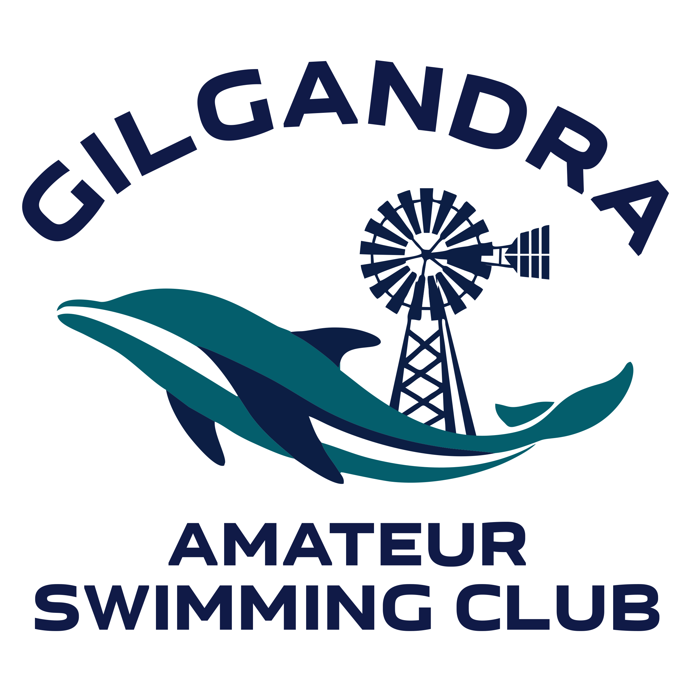 Gilgandra Amateur Swimming Club