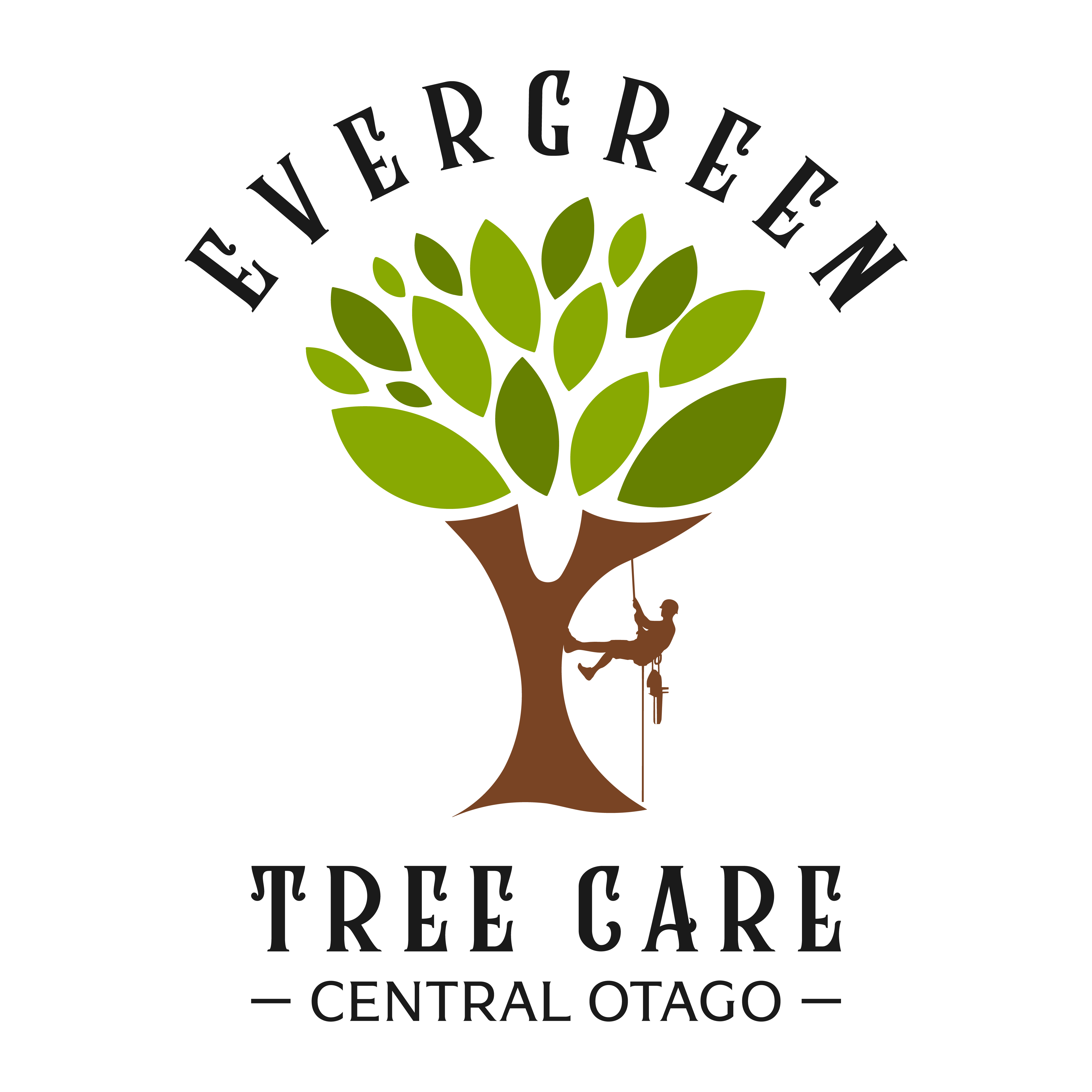 Evergreen Tree Care 