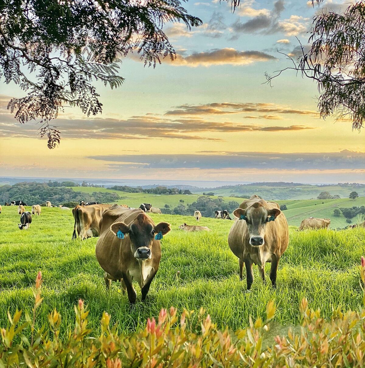 Saddleback Mountain is more than a view, it’s a home