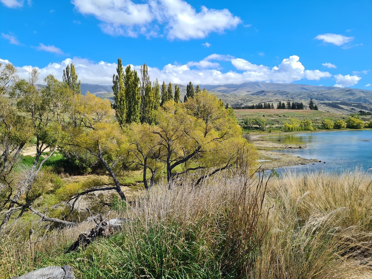 Fire restrictions in place for Upper Waitaki