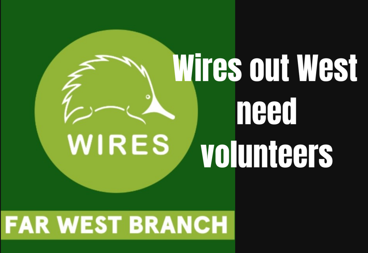 Wires out West need volunteers