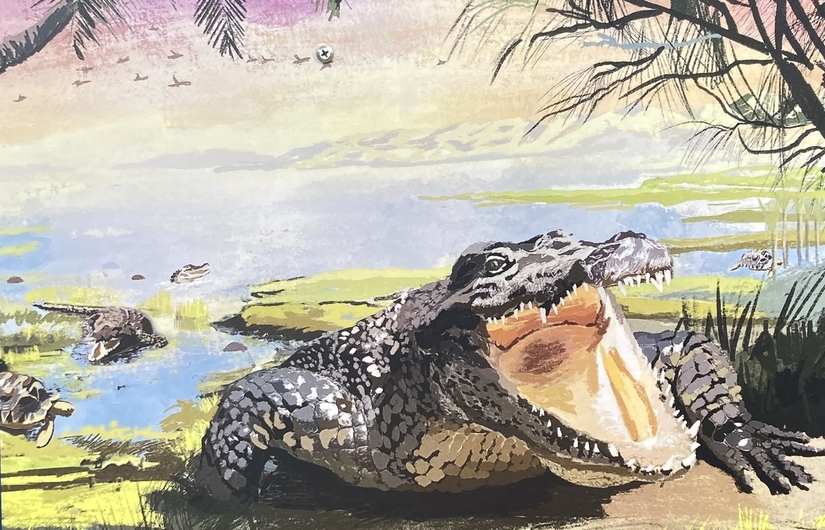 Luggate Creek’s history: crocodiles, gold, and more  