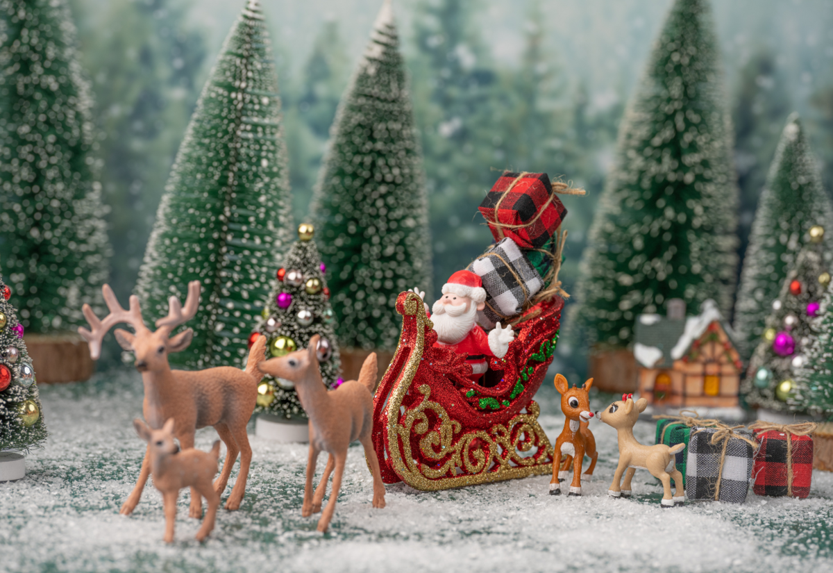 Christmas Events coming up!