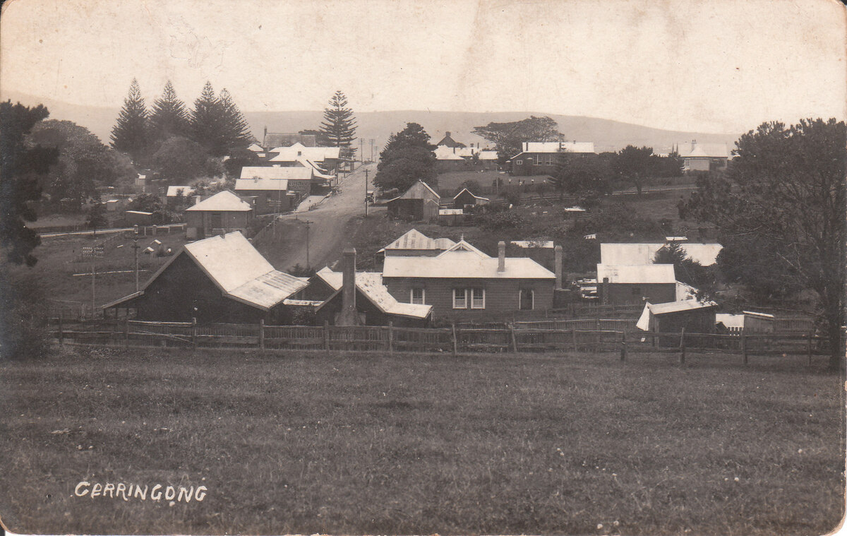 Hammering the legacy: Auctioneers and the heartbeat of South Coast farming