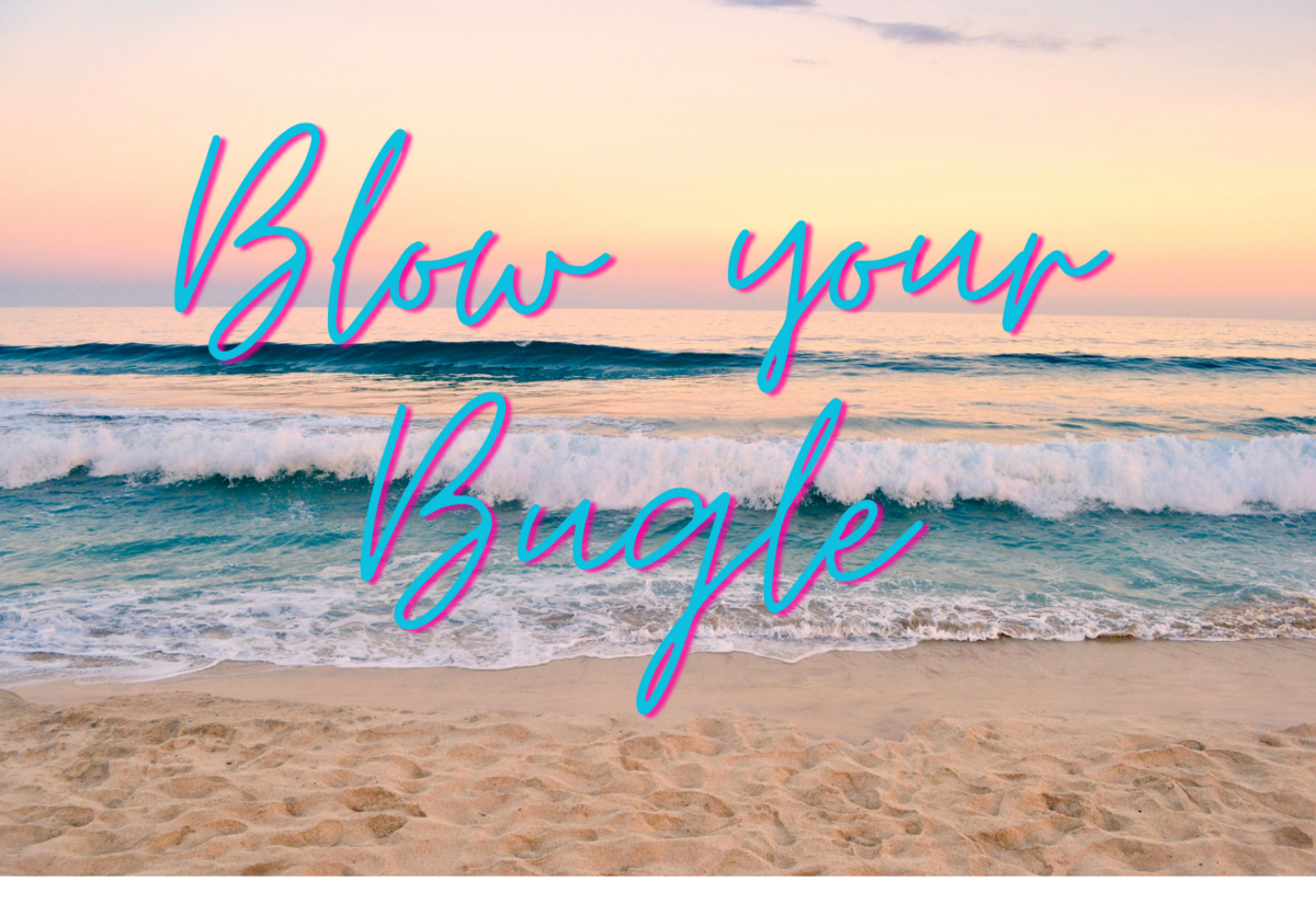 The Salvation Army Christmas Appeal Letter to the Editor