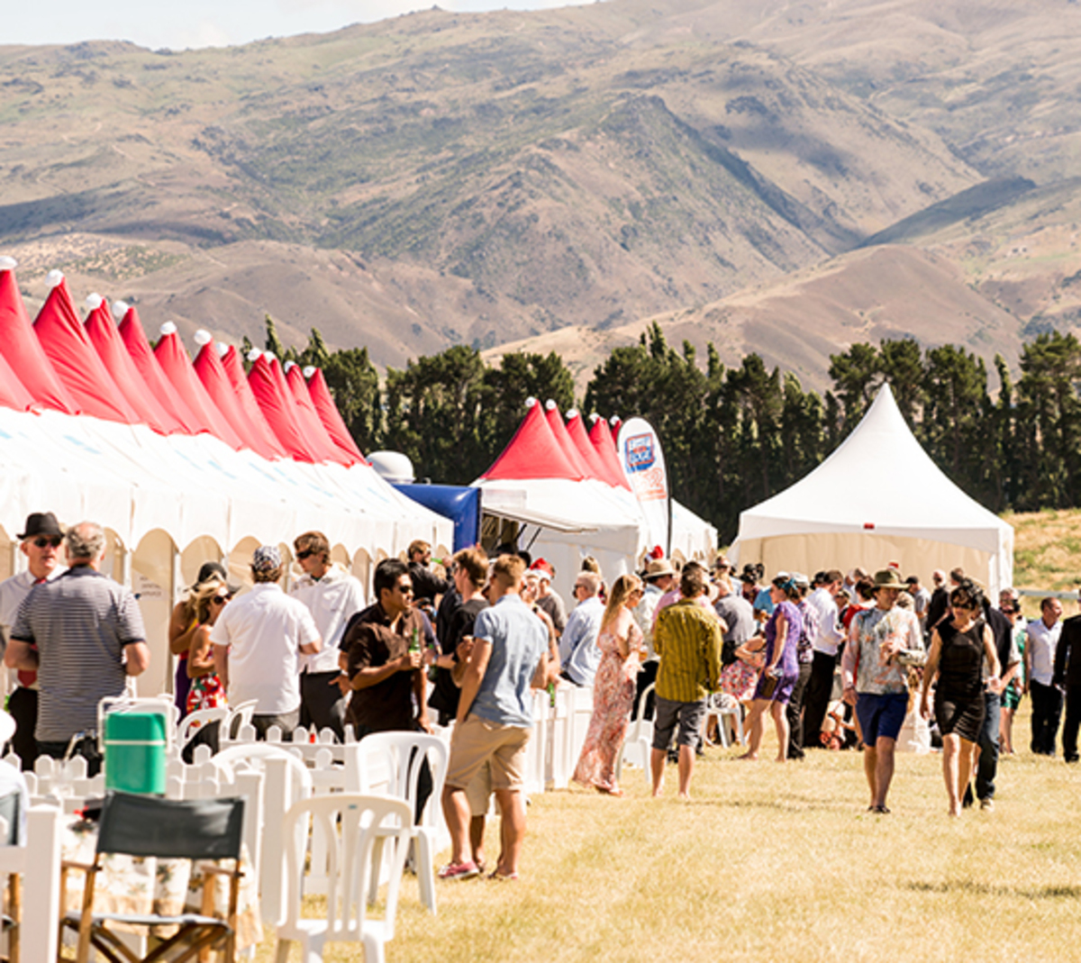 Central Beat: Groom on Stag do removed from Cromwell Races