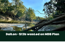 $13B spent on the Murray Darling Basin Plan but Dalton calls it “lazy politics”