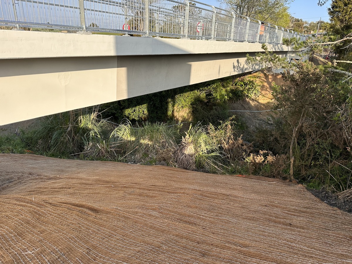 Rodney Street footbridge & path completed in Wellsford