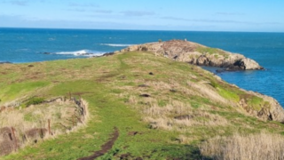 Communal effort to fight Moeraki rabbit problem the key to success
