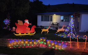 Light Up Central brings Christmas cheer 