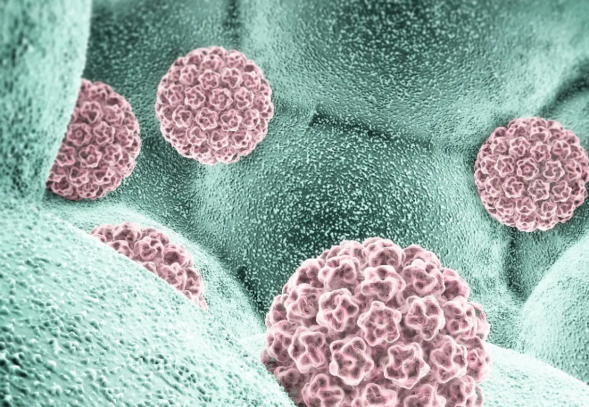 Heroes Sought to Eliminate Cervical Cancer